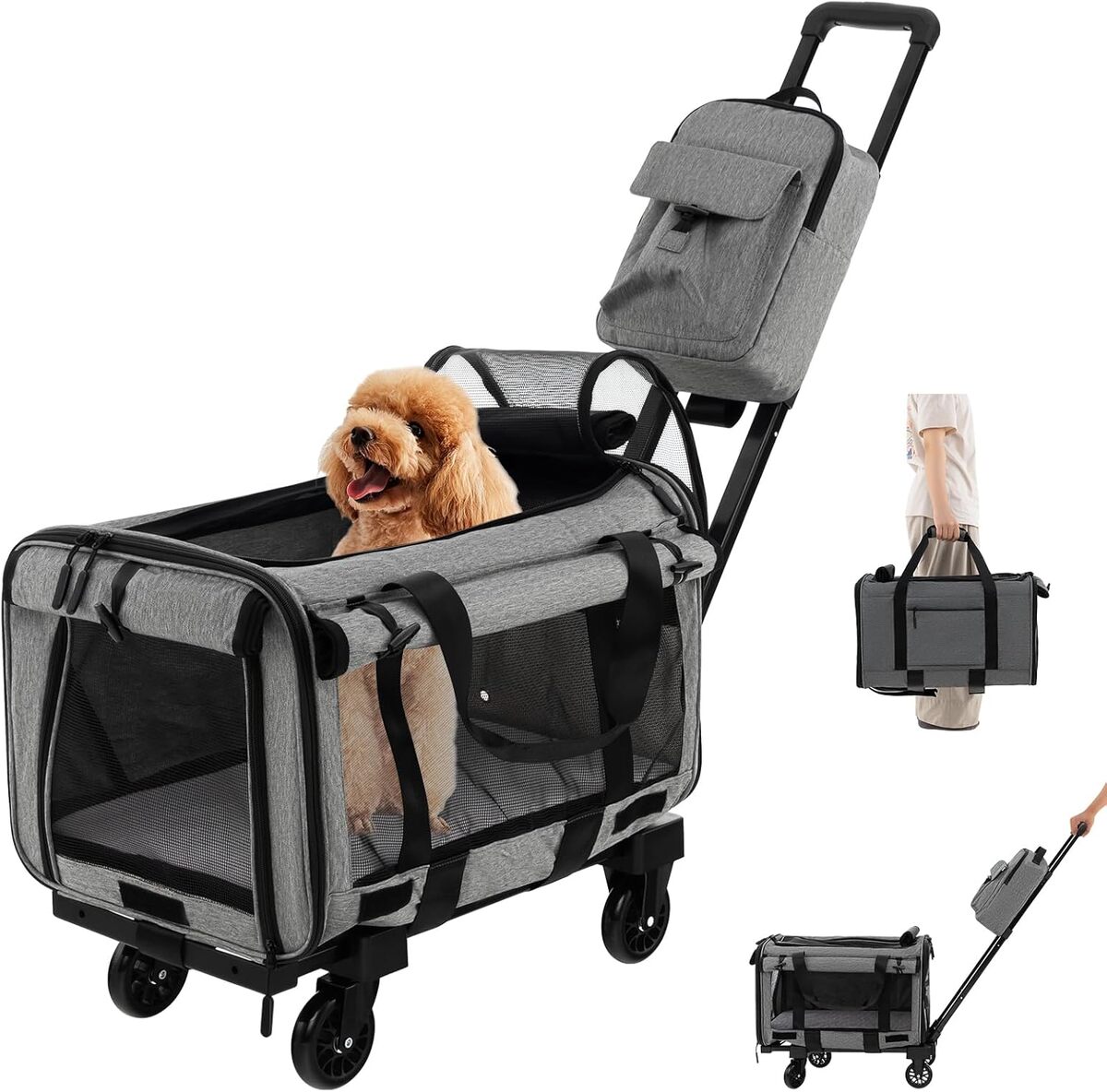 Test du sac à dos avec roues Costway pour animaux de compagnie