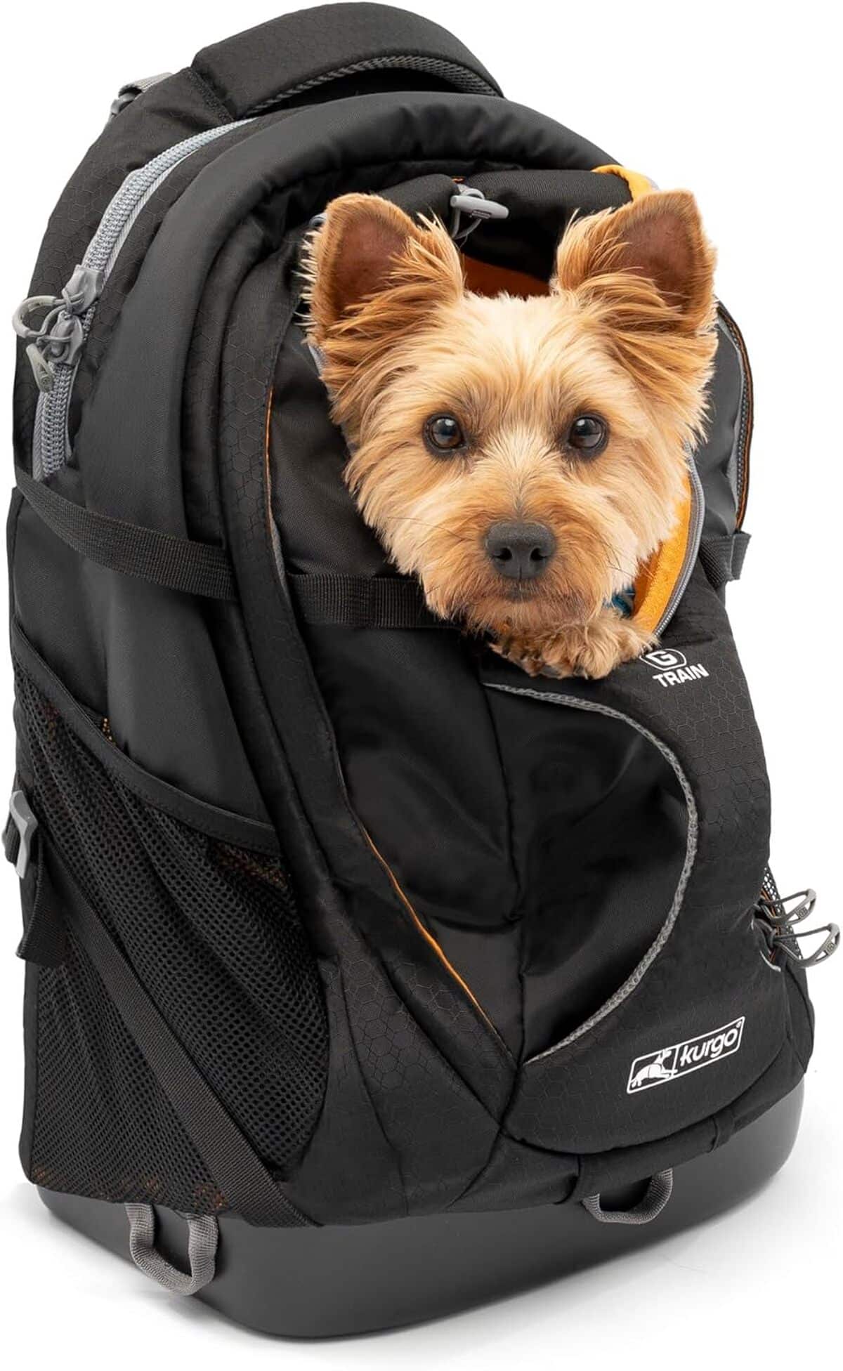 Test du sac à dos Kurgo G-Train pour animaux, pratique et étanche