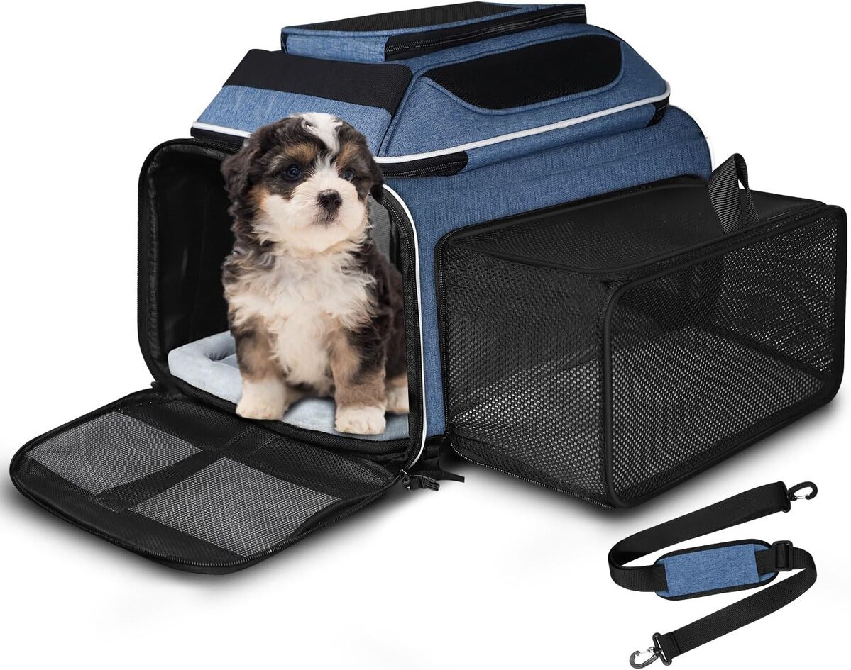 Test du sac de transport extensible Petskd pour petits chats