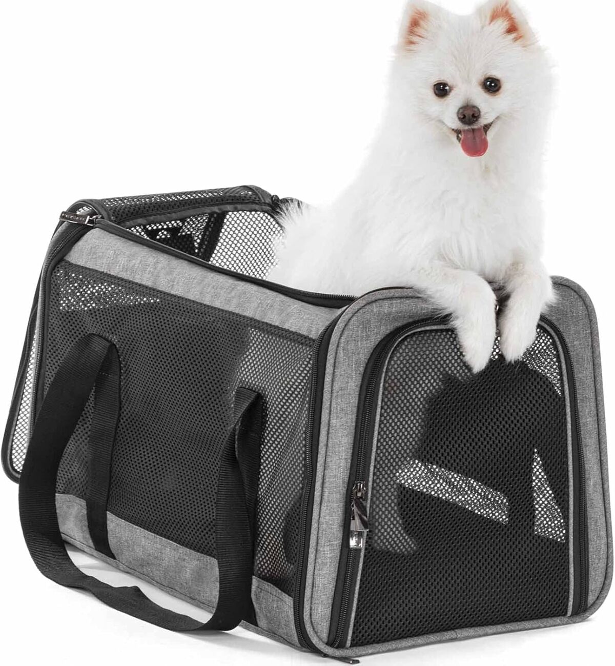 Test du sac de transport Petsfit : confort et sécurité pour vos compagnons