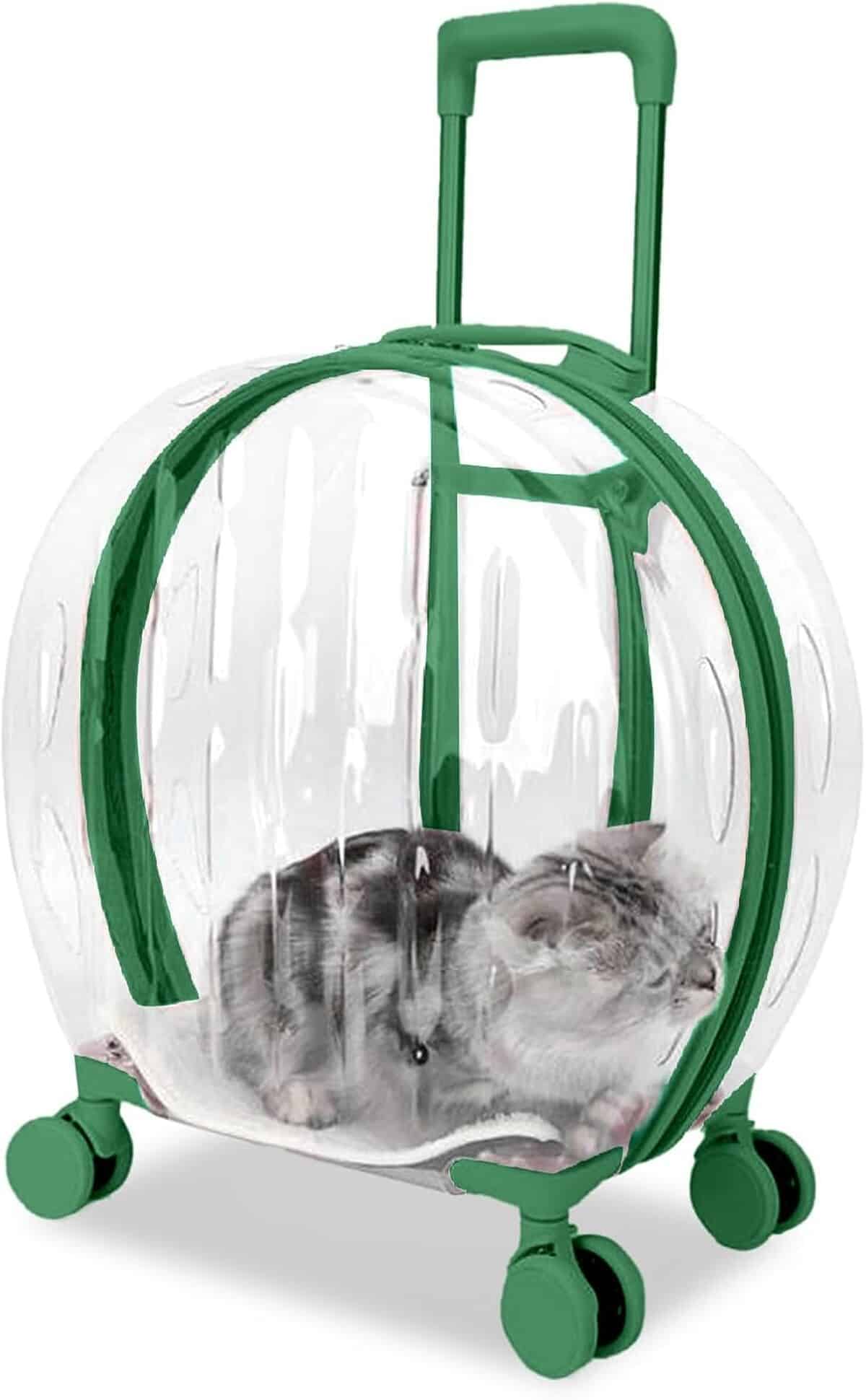 Test du sac de transport RKROUCO pour animaux : pratique et robuste
