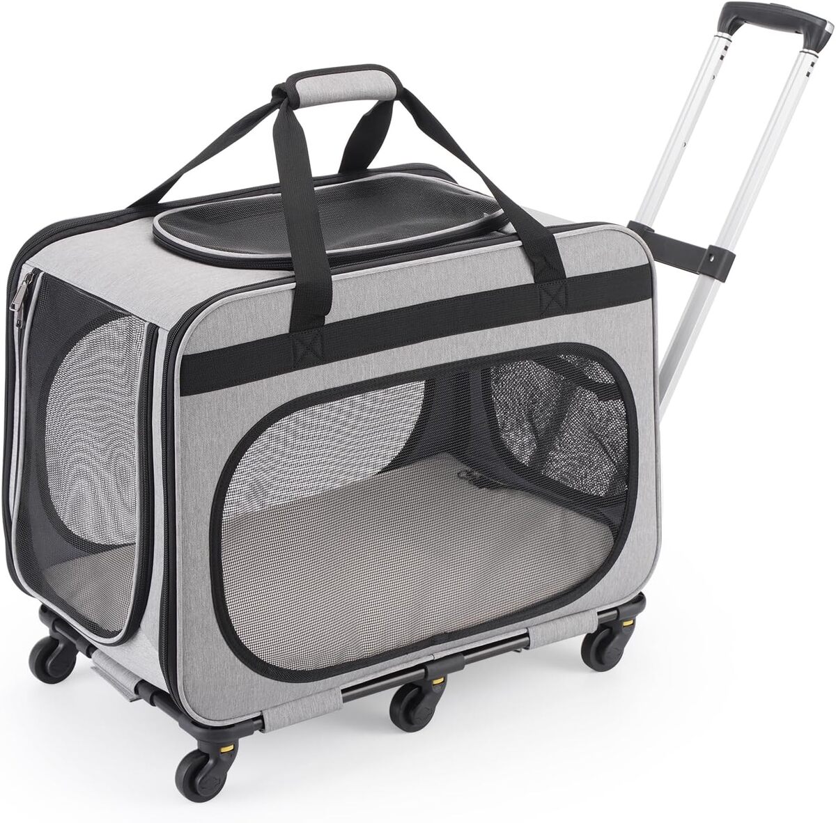 Test Fasriou : sac de transport pour chat et chien avec roulettes amovibles