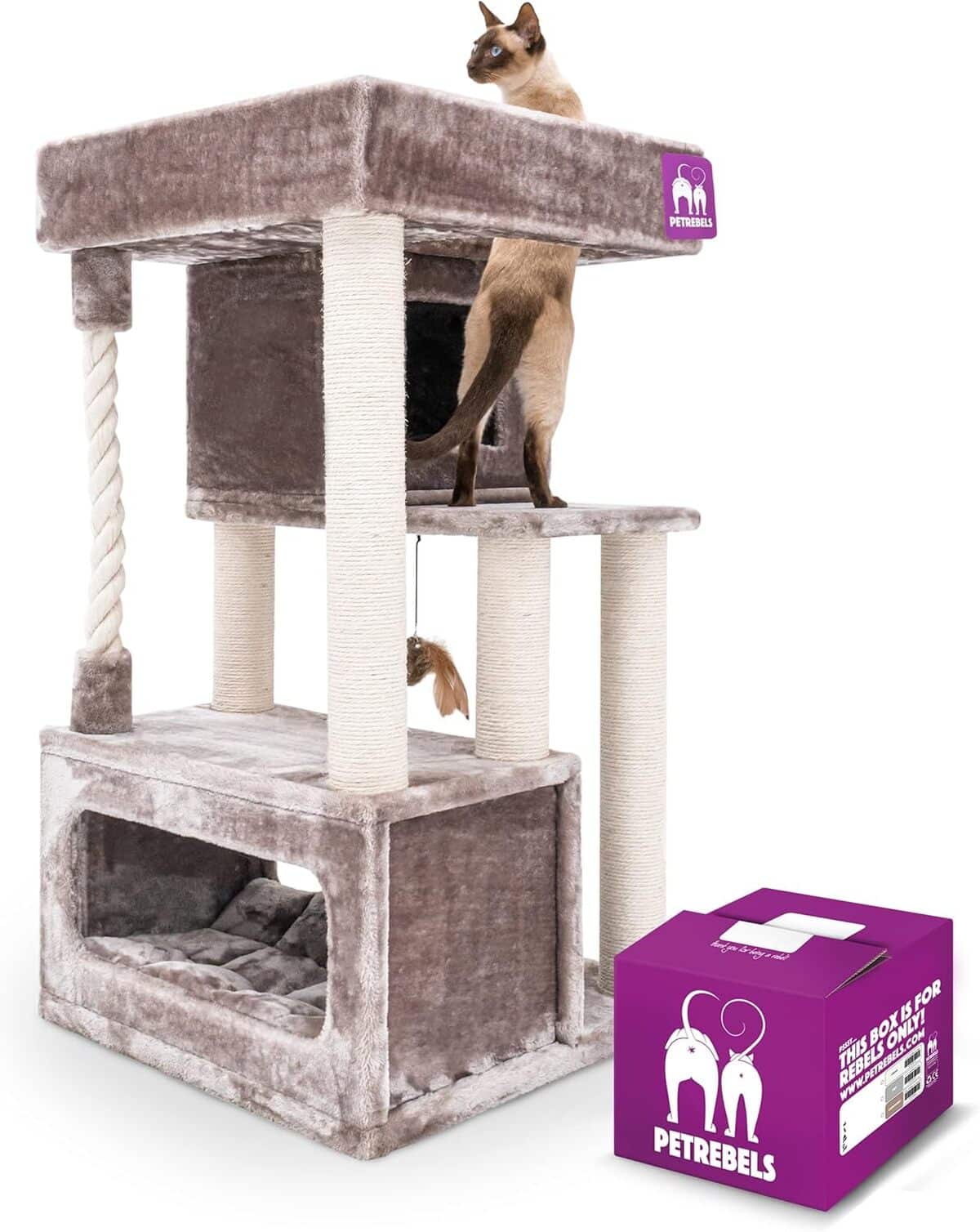 Test : stabilité et élégance avec l'arbre à chat Petrebels Lodge 107 cm