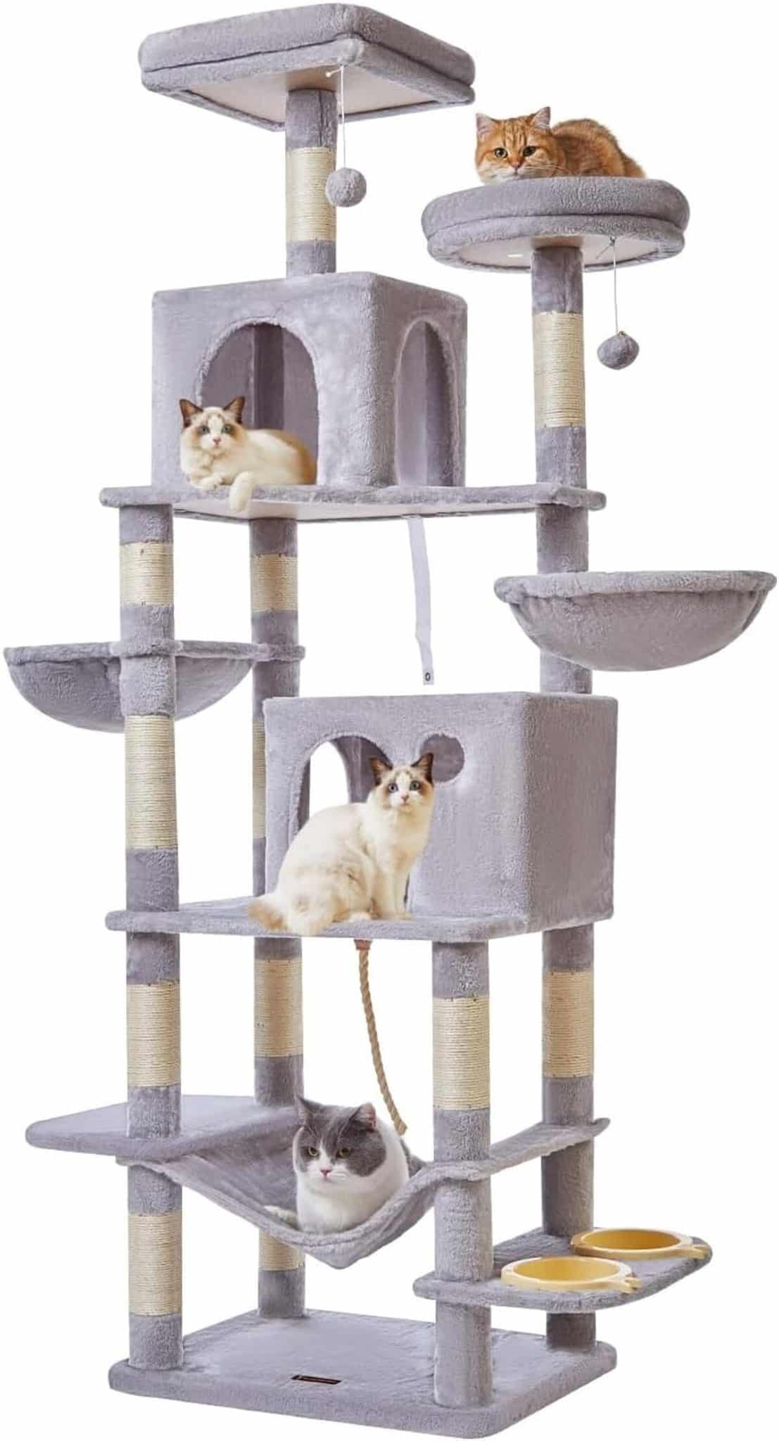 Test : arbre à chat Taoqimiao MS016W 193 cm, confort XXL