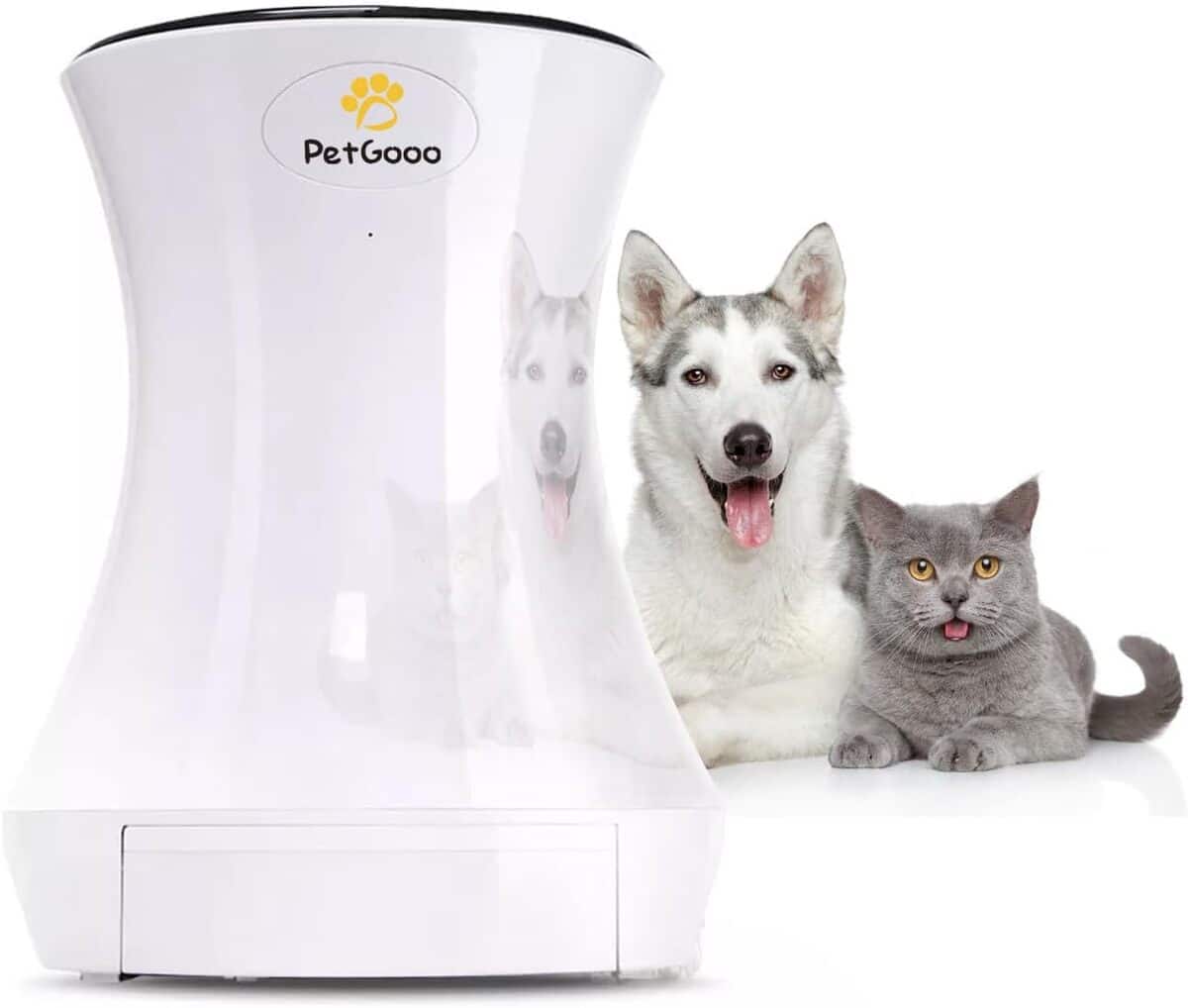 Test de la mangeoire automatique Petgooo pour chat