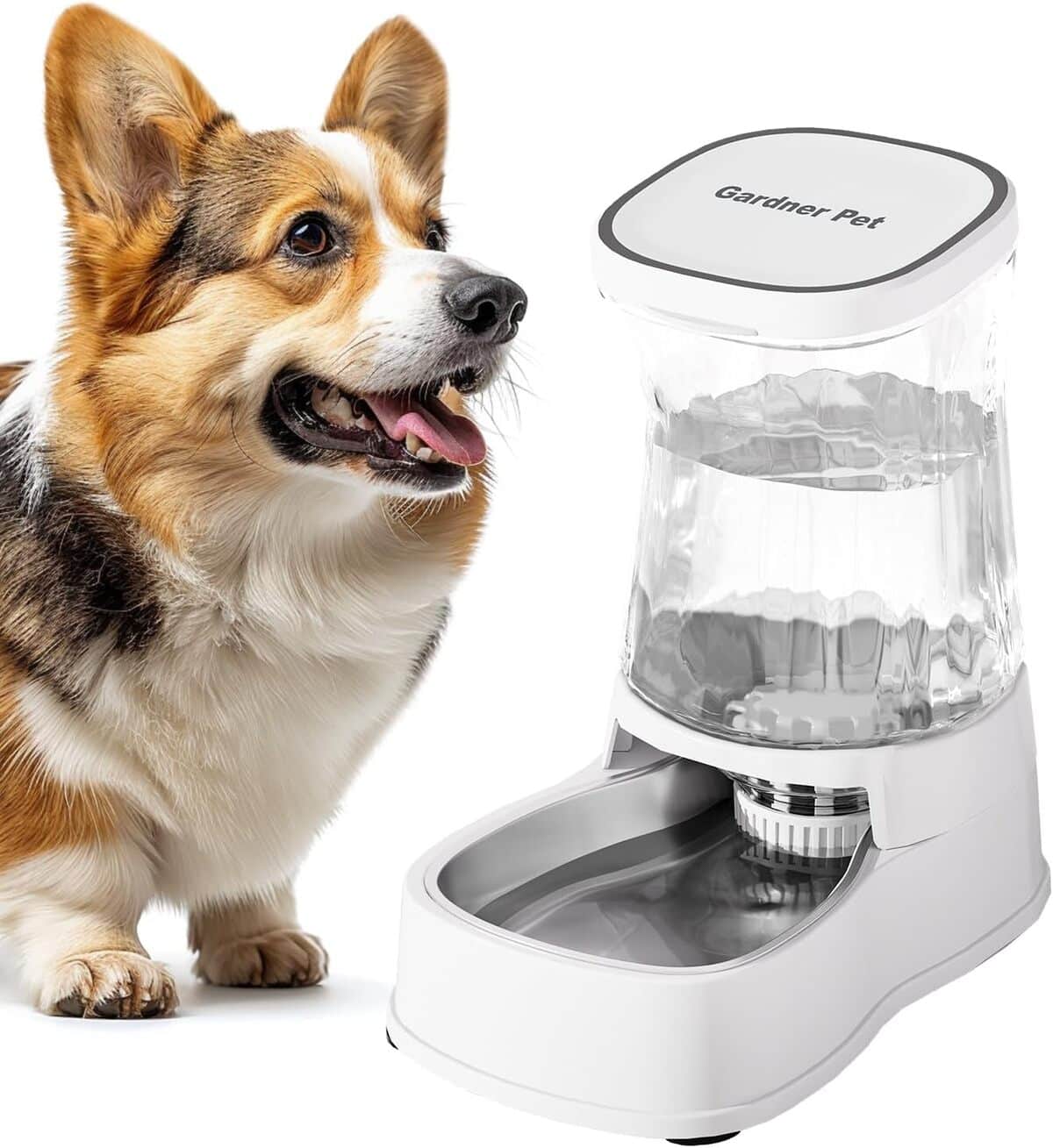 Test du distributeur d'eau automatique Gardner Pet 3.85L pour chiens et chats