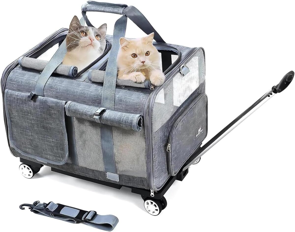 Test du sac de transport pour chats Beautymonkey.k : roulez tranquille avec vos compagnons
