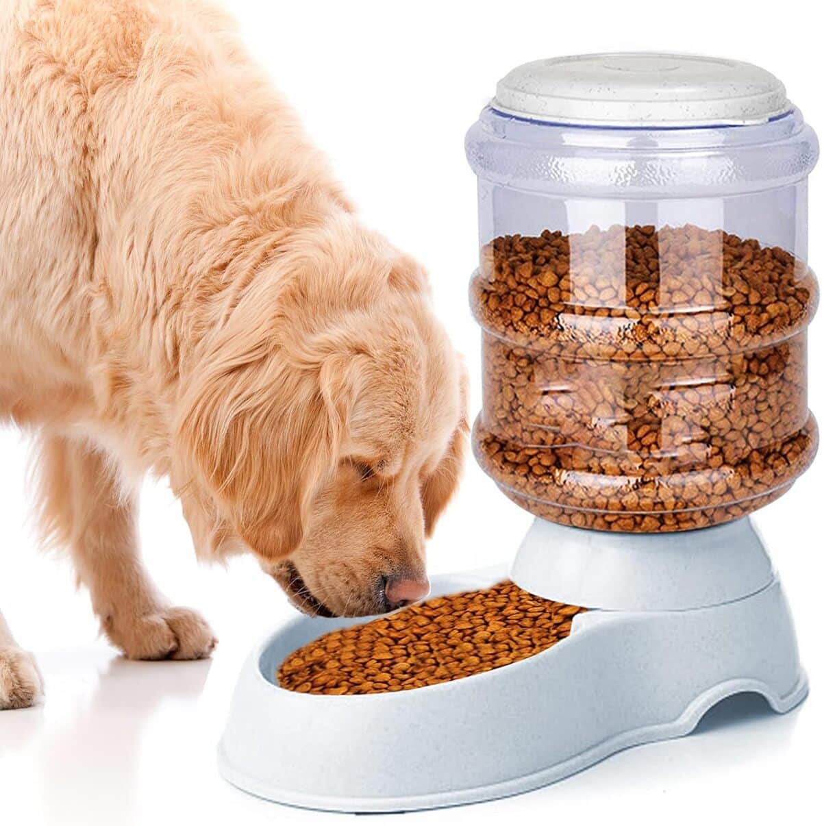 Test : mangeoire automatique 10 L pour chiens et chats de grande taille