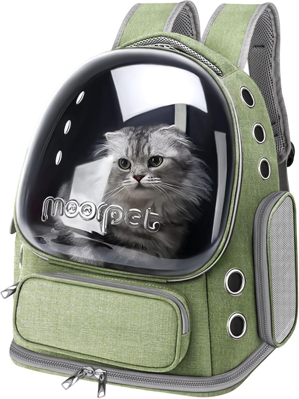 Test : sac à dos à bulles pour chats et petits chiens approuvé avion