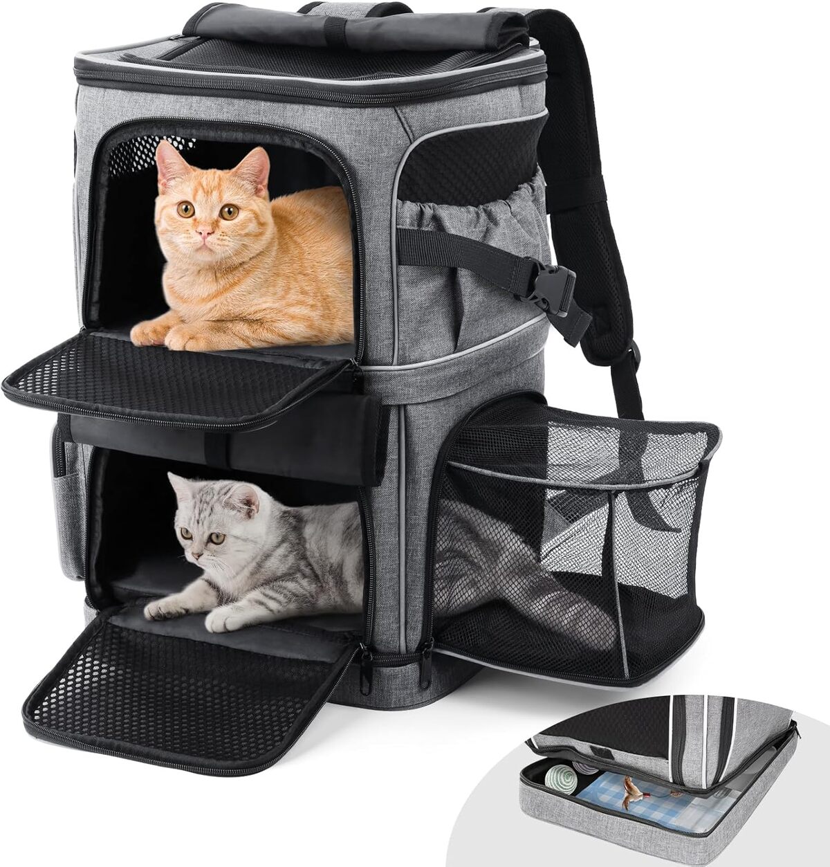 Test : sac à dos Daisytern pour animaux jusqu'à 12 kg