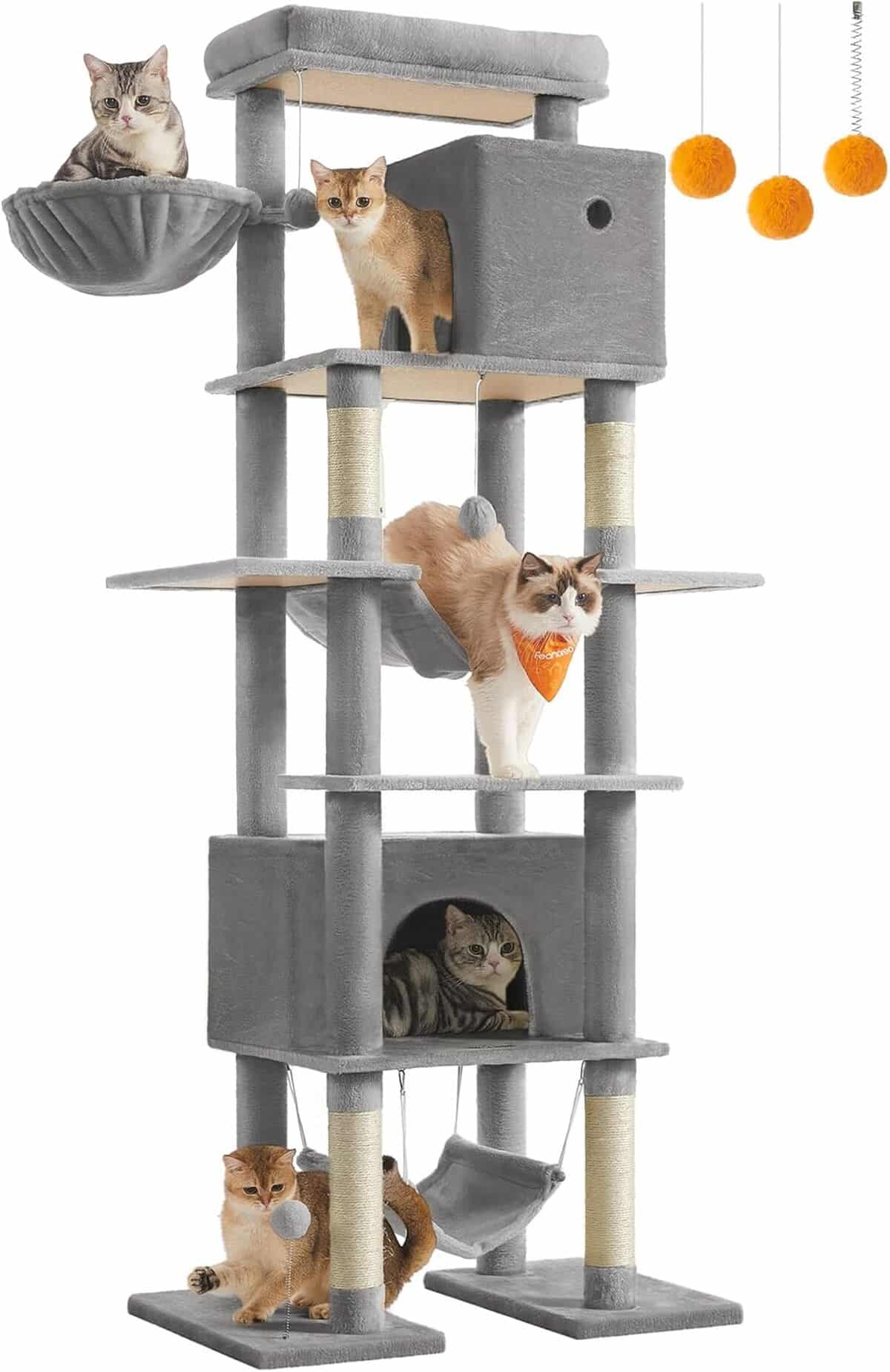 Test : arbre à chat Feandrea 201 cm, xXL et multi-niveaux