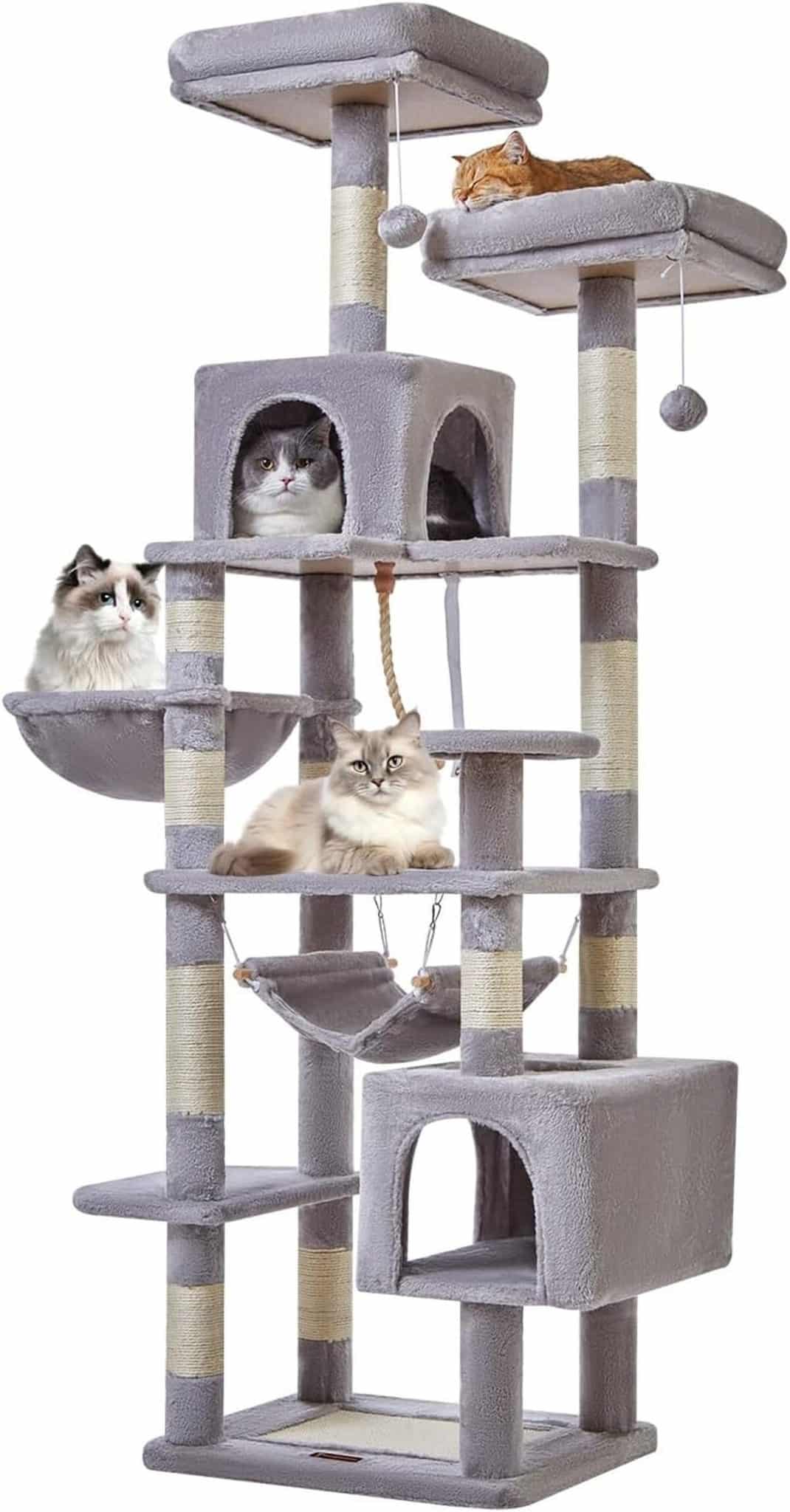Test : arbre à chat Taoqimiao MS020W multi-niveaux, idéal pour votre félin