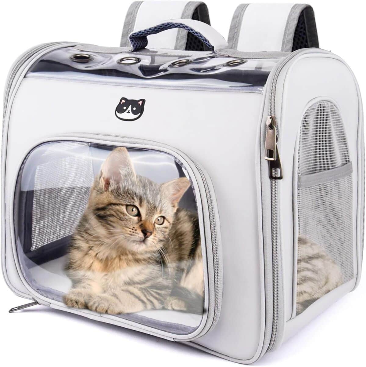 Test du sac à dos pour chat et chien Onebarleycorn : confort et praticité en voyage