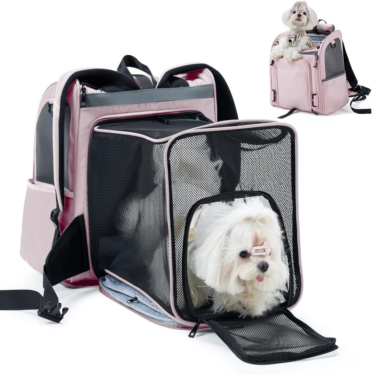 Test du sac à dos Wildgogo pour chat et chiot