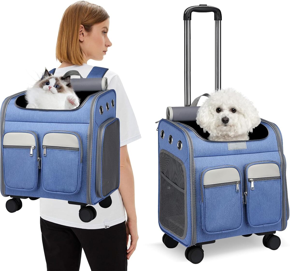 Test : sac à dos PETCUTE pour chat sur roulettes, pratique et respirant