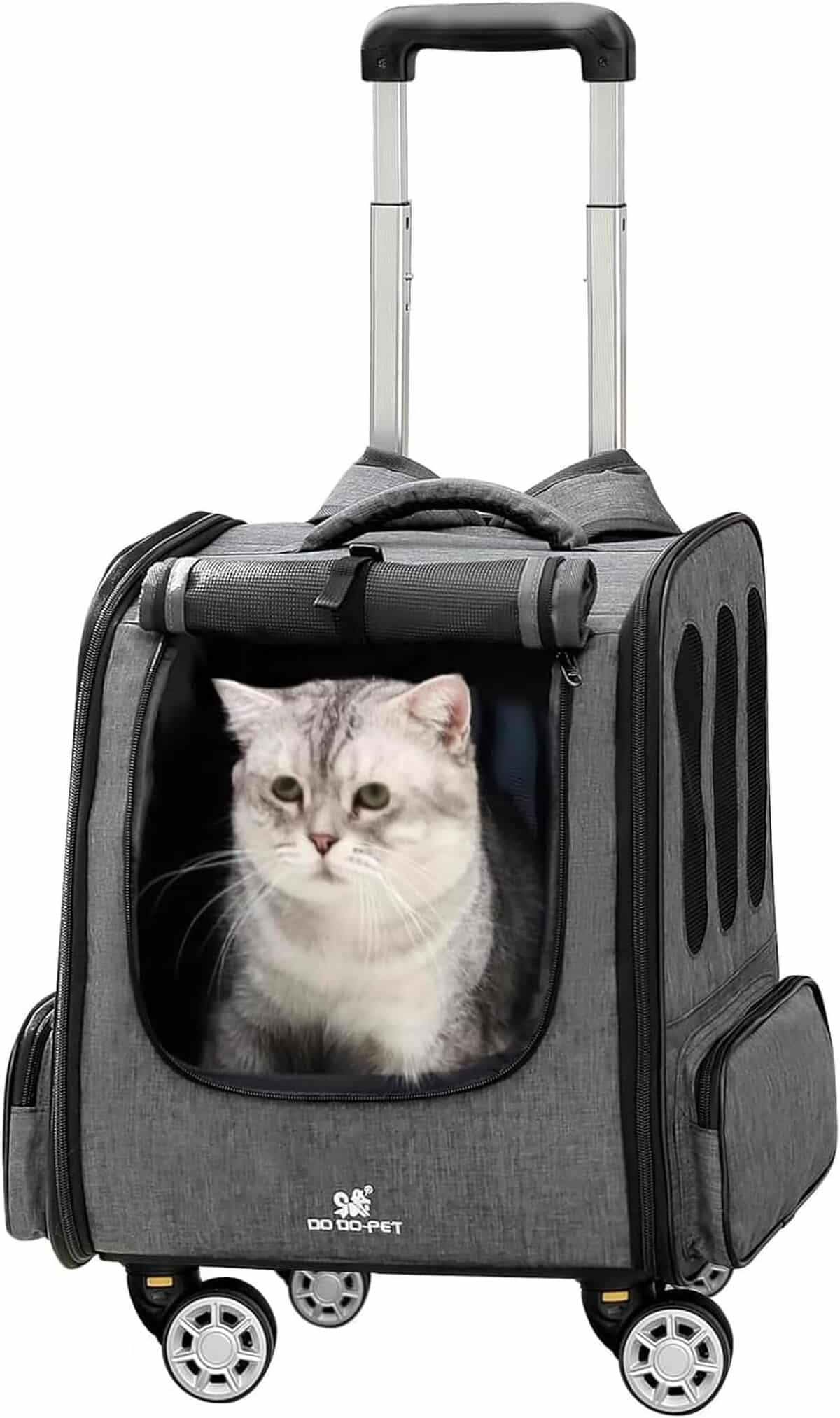 Test : sac à dos trolley BEAUTYMONKEY.K pour chats et petits chiens