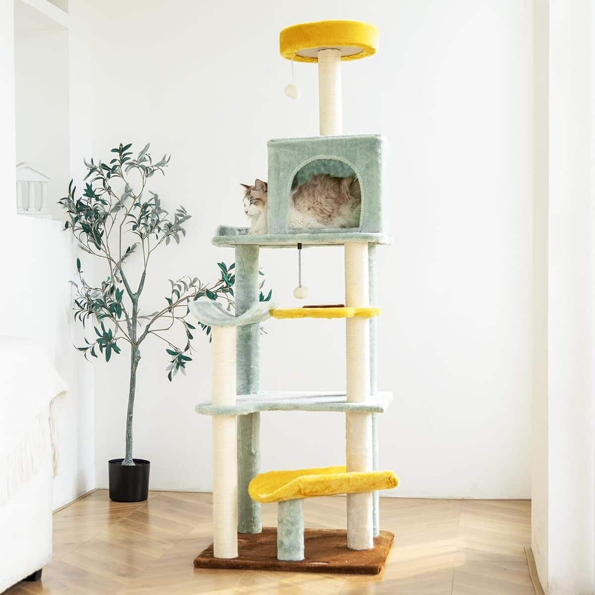 Avis sur l'arbre à chat tournesol HYABi : un indispensable déco pour vos félins