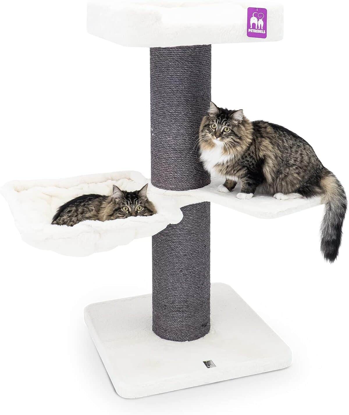 Test de l'arbre à chat Petrebels Maine Coon 117 XXL