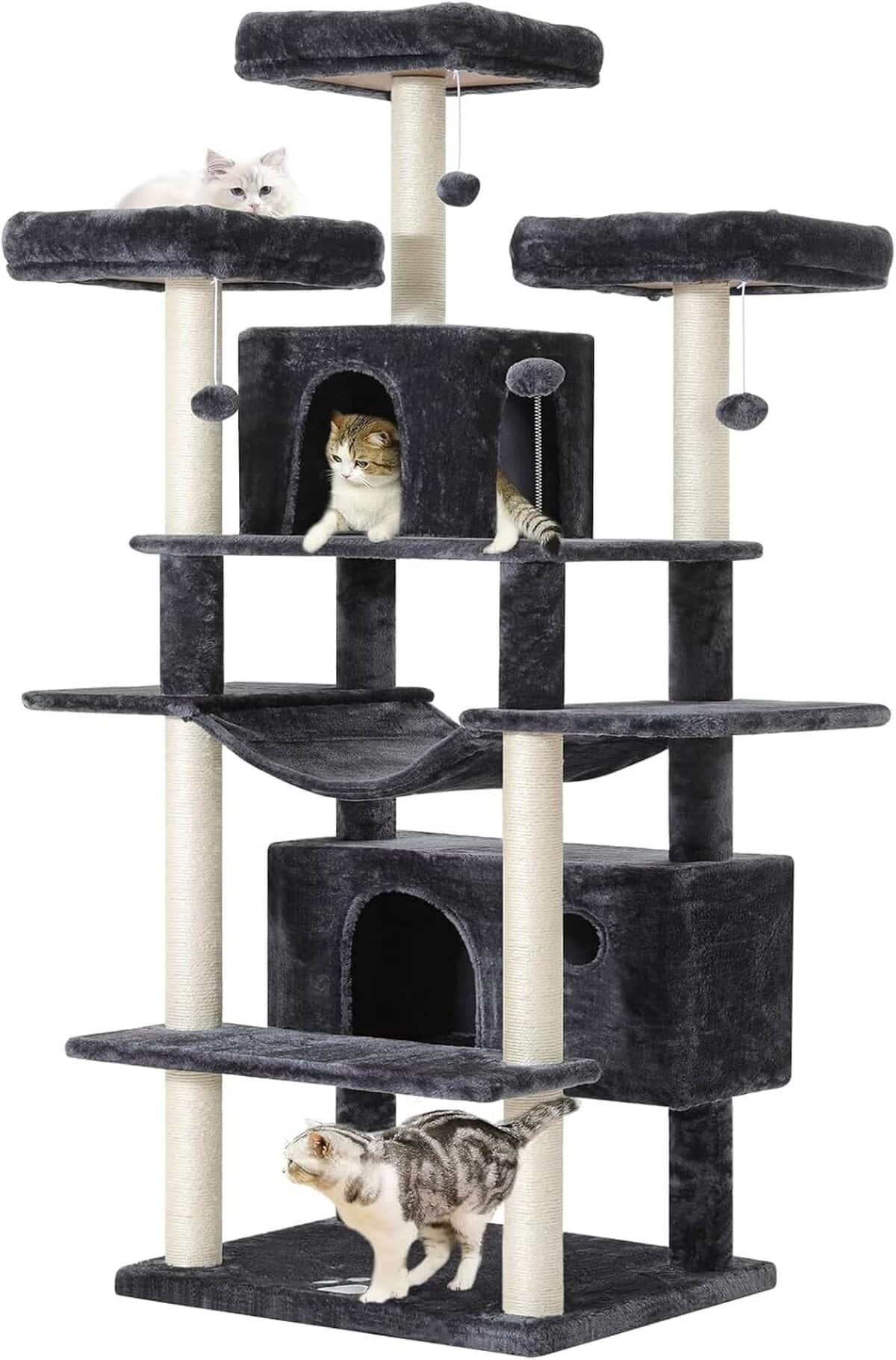 Test du grand arbre à chat XXL MSmask : plateformes et griffoirs pour grands félins