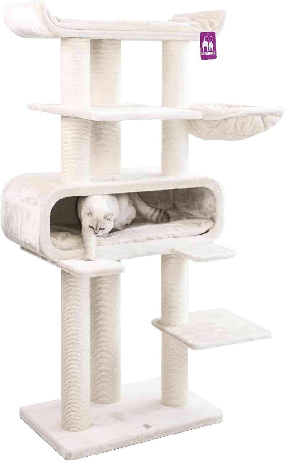 Test du Petrebels Maine Coon : arbre à chat XXL pour grands félins