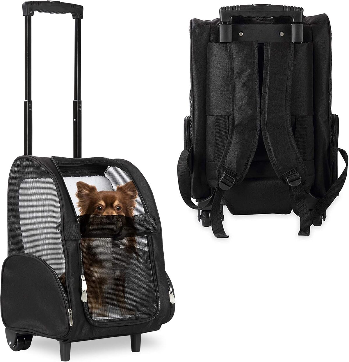 Test du sac à dos KOPEKS 3 en 1 : idéal pour animaux jusqu'à 7 kg