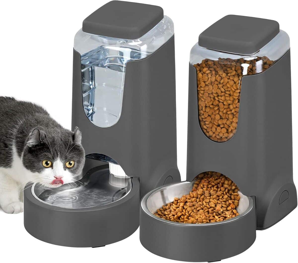 Test : mangeoires automatiques en acier inoxydable pour chats et chatons