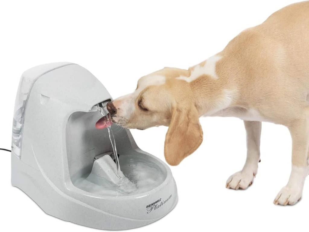 Test de la fontaine PetSafe Drinkwell Platinum 4, 8 l