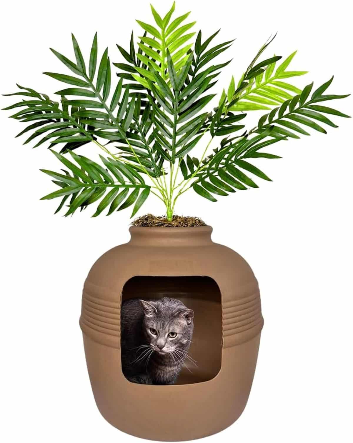 Test de la litière cachée Good Pet Stuff