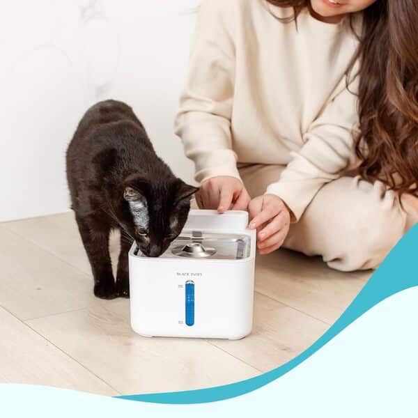 Fontaine à eau UV pour chats et chiens – Fontaine à eau pour chien et chat – Fontaine à boire – Gamelle silencieuse sans fil en acier inoxydable pour animaux de compagnie avec filtre à 4 étapes et