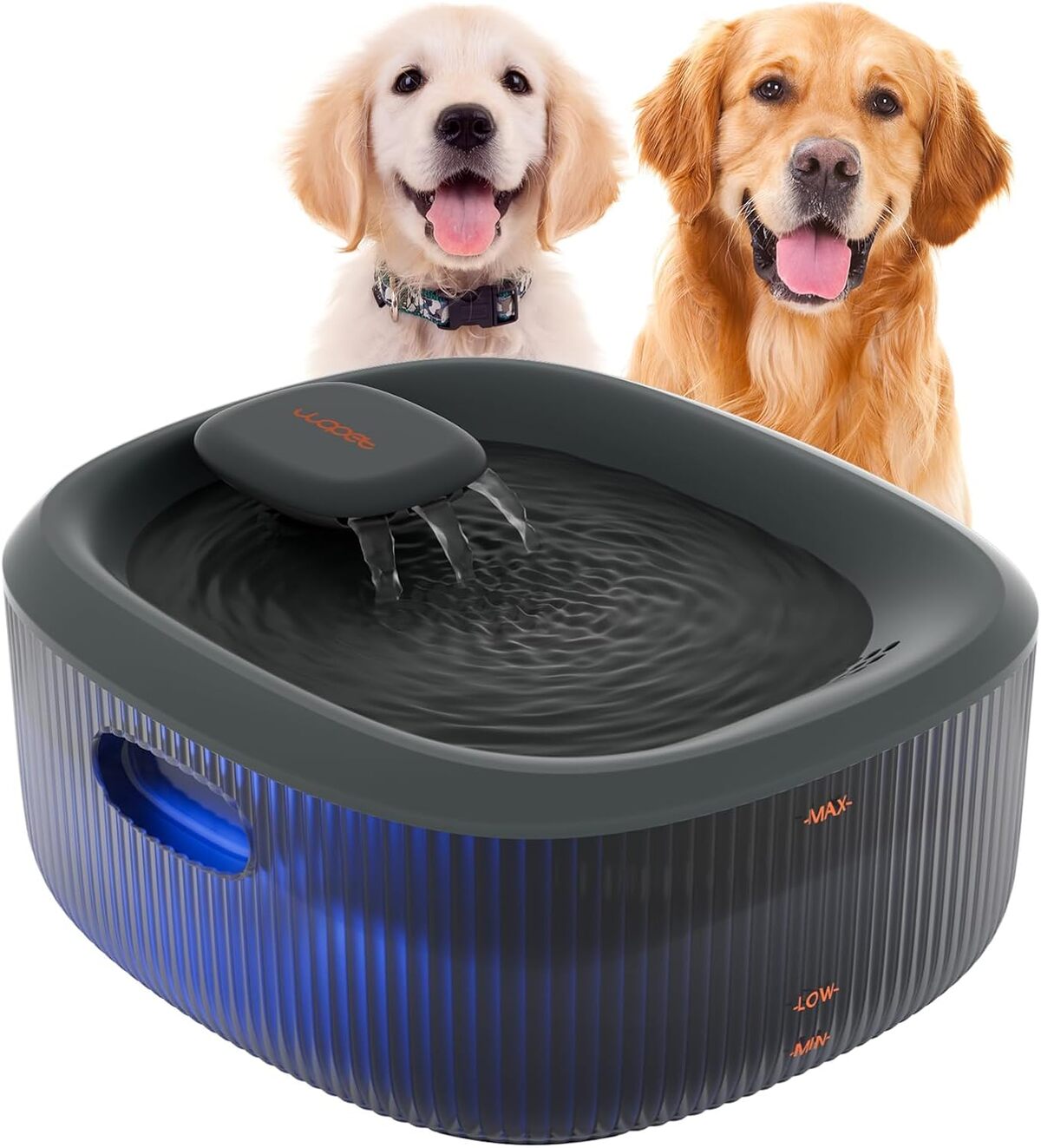 Test de la fontaine à eau automatique WOPET 6 l pour chiens et chats