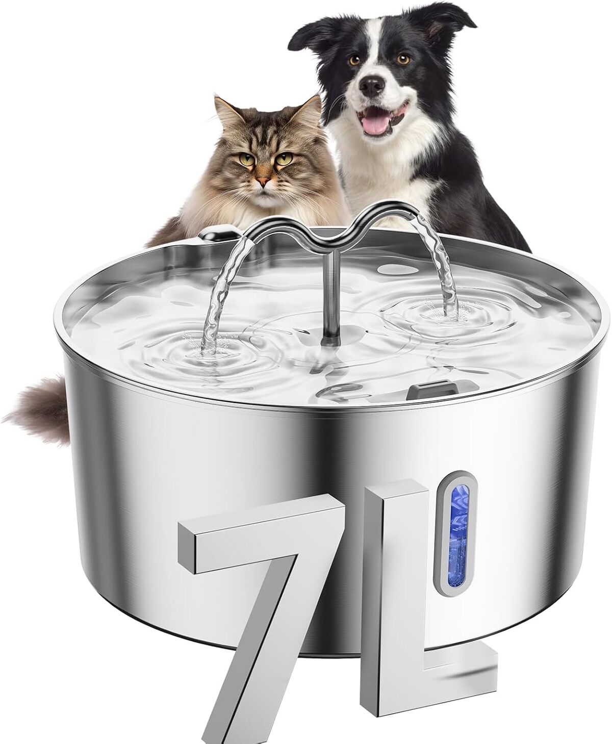 Test de la fontaine à eau en inox pour chat et animaux