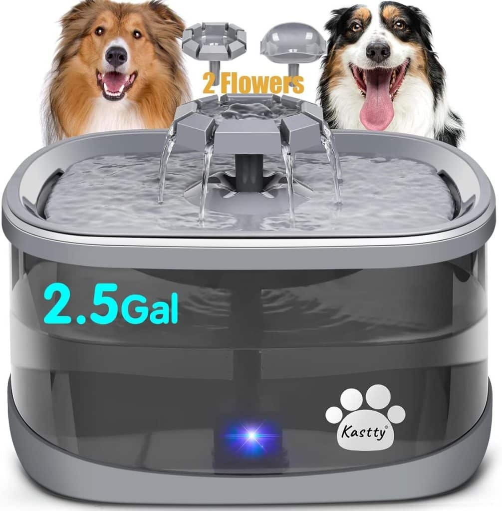 Test de la fontaine à eau extra large Kastty 9, 5 l pour chien et chat