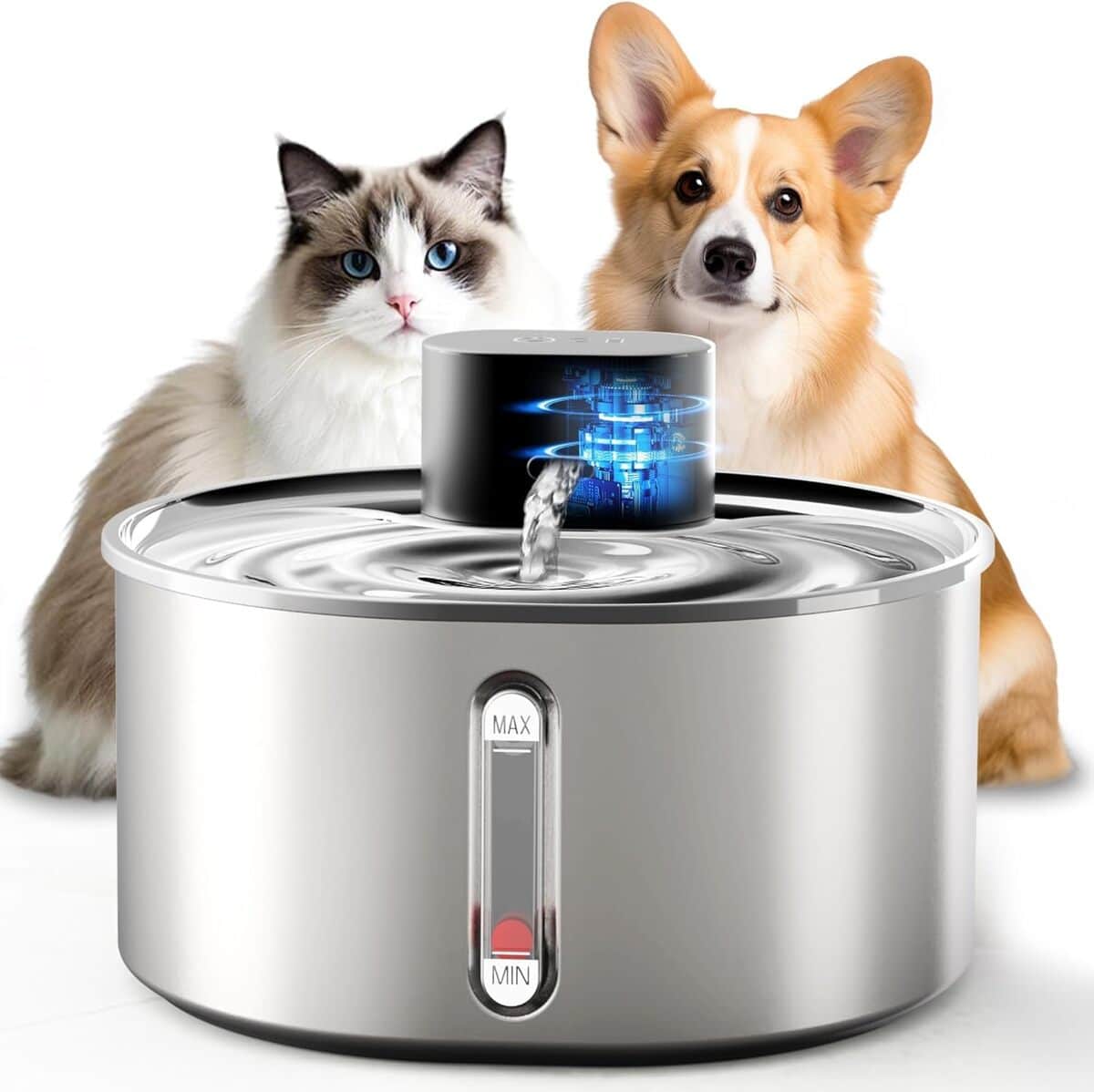 Test de la fontaine à eau pour chat en acier inoxydable
