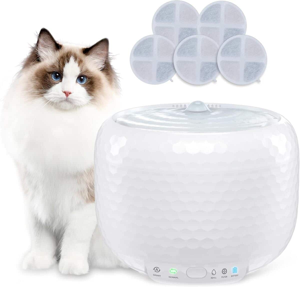 Test de la fontaine à eau pour chat Lifetail