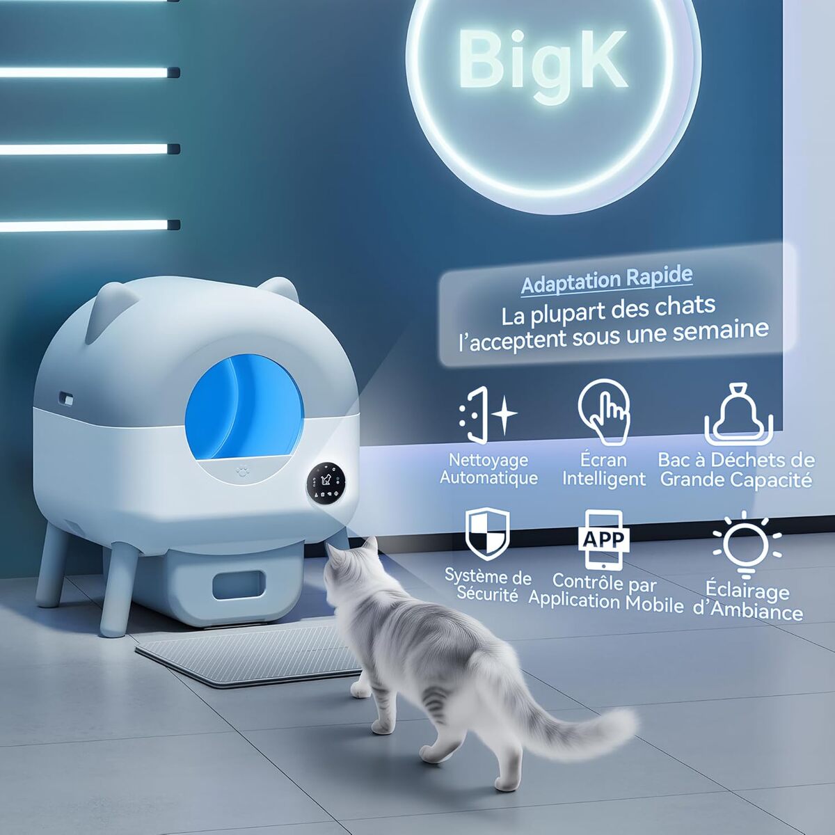Test de la litière automatique intelligente grande capacité