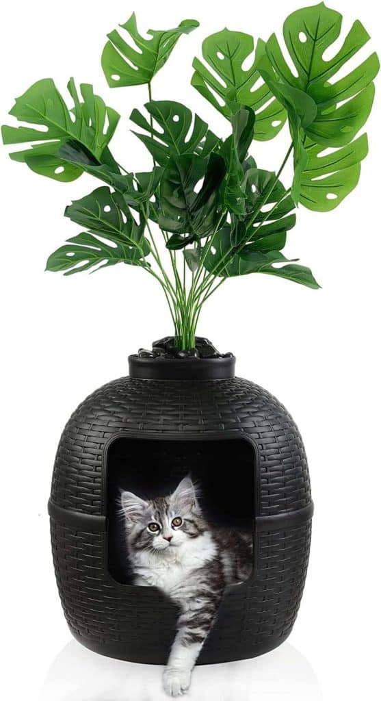 Test de la litière cachée Keygarzone avec plante et motif rotin