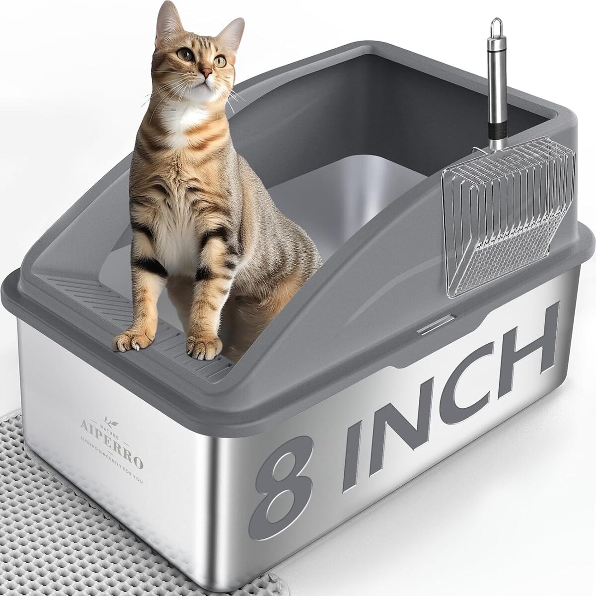 Test de la litière XXL en acier inoxydable pour grands chats