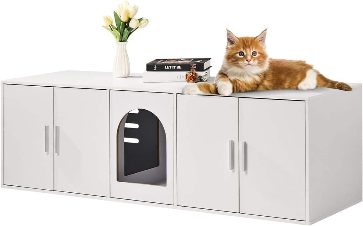 Test du meuble VEVOR : cache-bac double pour chat