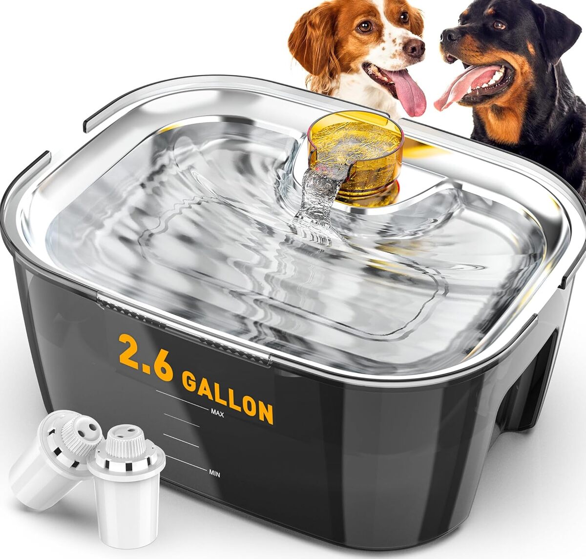 Test fontaine à eau XL pour chiens et chats