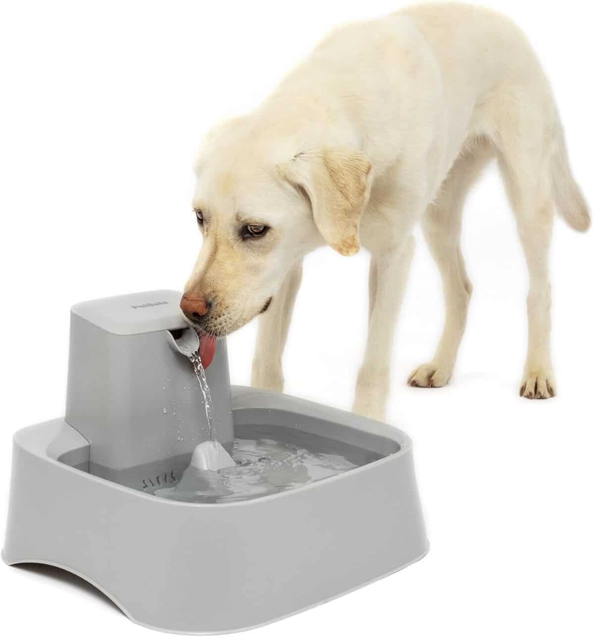 Test : fontaine Drinkwell PetSafe 7, 6 L, pratique et facile à nettoyer
