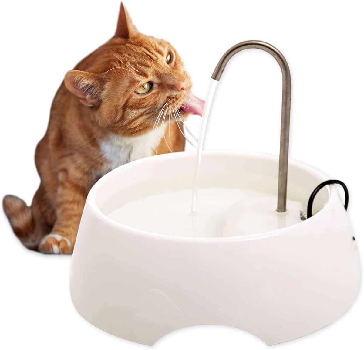 Test de la fontaine Aqua Mini : hydratation pratique pour vos compagnons