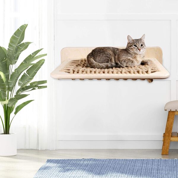 Étagère pour chat - Étagère d'escalade pour chat fixée au mur, escalier mural pour chat, étagère murale pour chat et perchoirs pour le mur, étagères suspendues en bois massif épais, meubles muraux