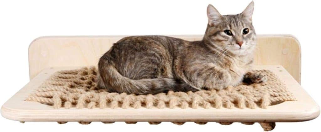 Avis sur l'étagère murale d'escalade pour chat en bois massif