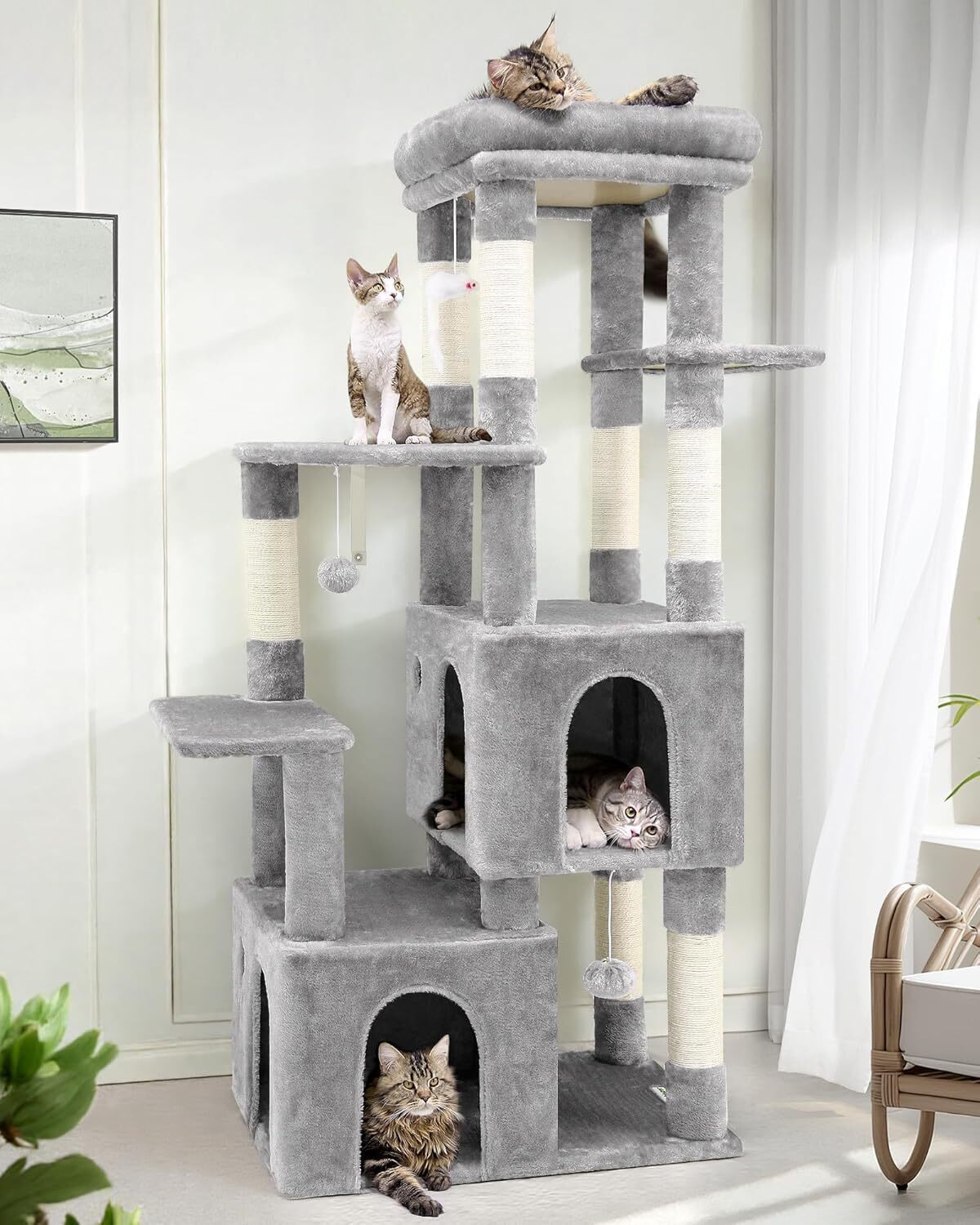 Test de l'arbre à chat Globlazer stable pour Maine Coon