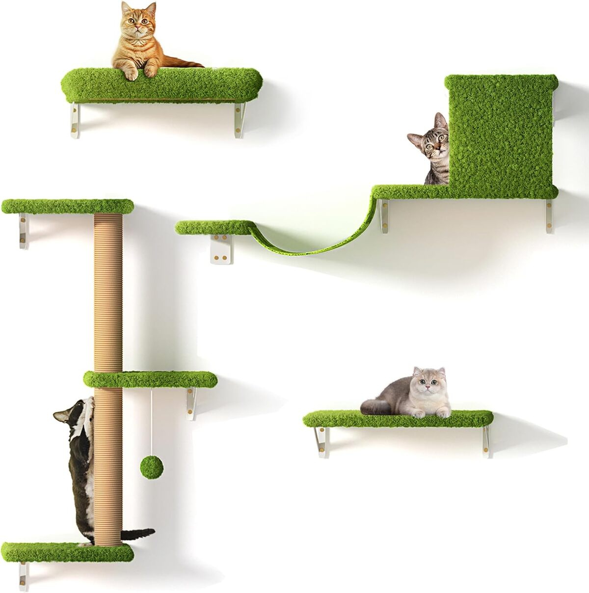 Test de l'ensemble d'étagères murales FUKUMARU pour chat : confort en hauteur
