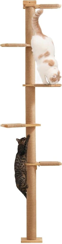 Test du FUKUMARU arbre à chat 205, 7 cm à 5 étages