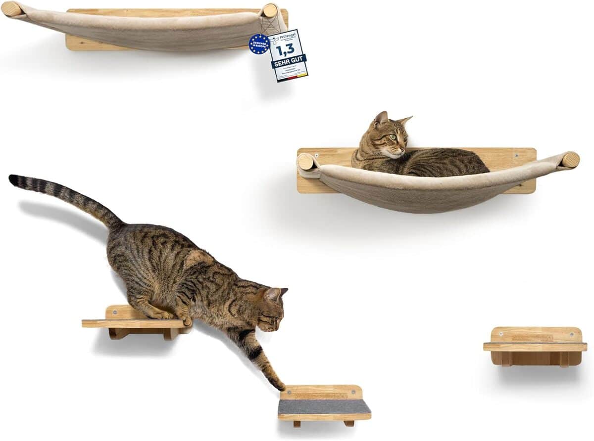 Test : mur d'escalade pour chat WOOWOOD en bois massif