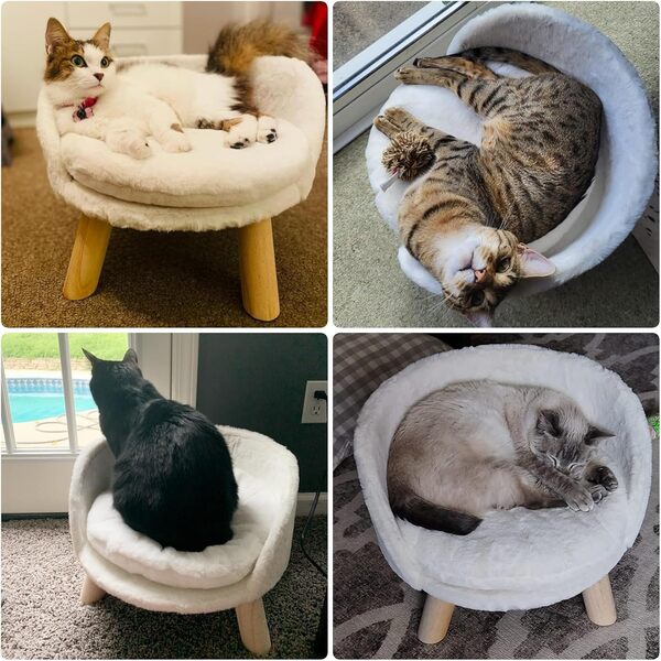 BingoPaw Canapé-lit pour Chat et Chaton, Canapé Chien Petite Taille avec Coussin Anti Stress Lit sur Pied pour Chats Chaton Chiens, Blanc