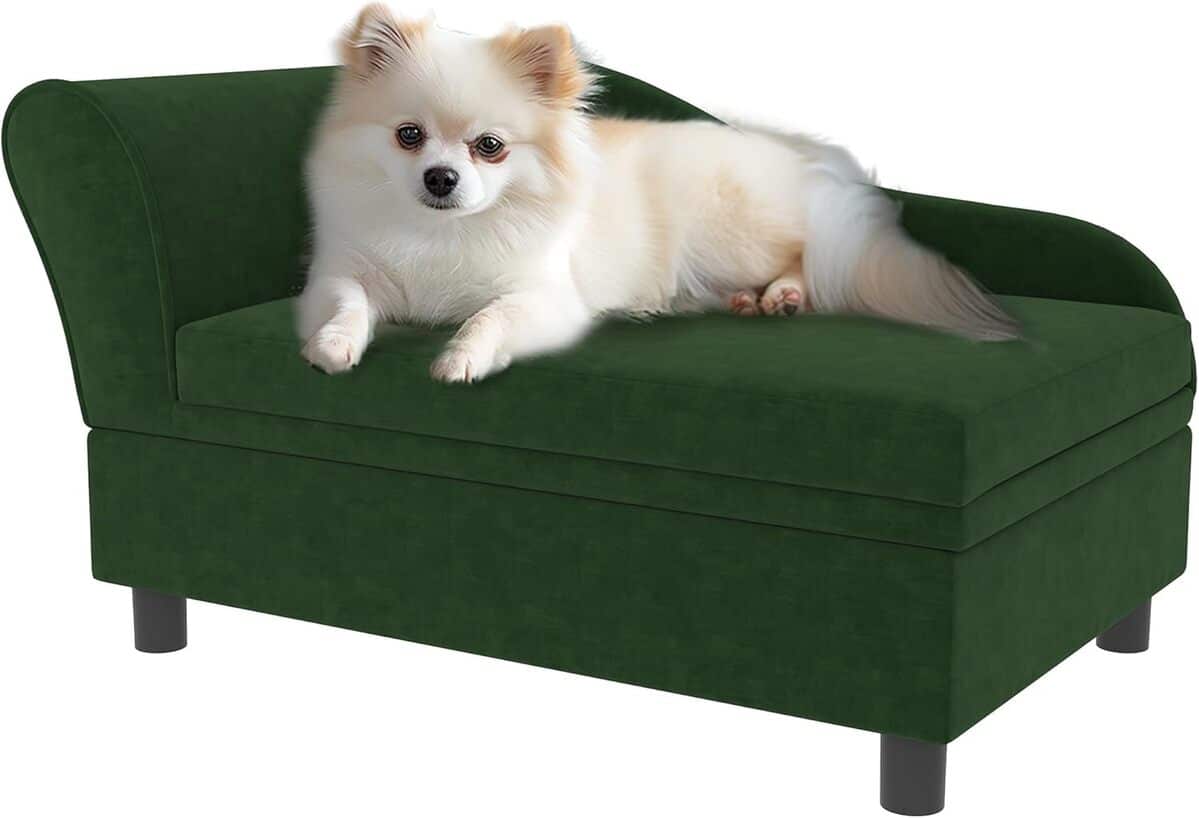 Avis sur le canapé PawHut pour animaux, style moderne et confortable
