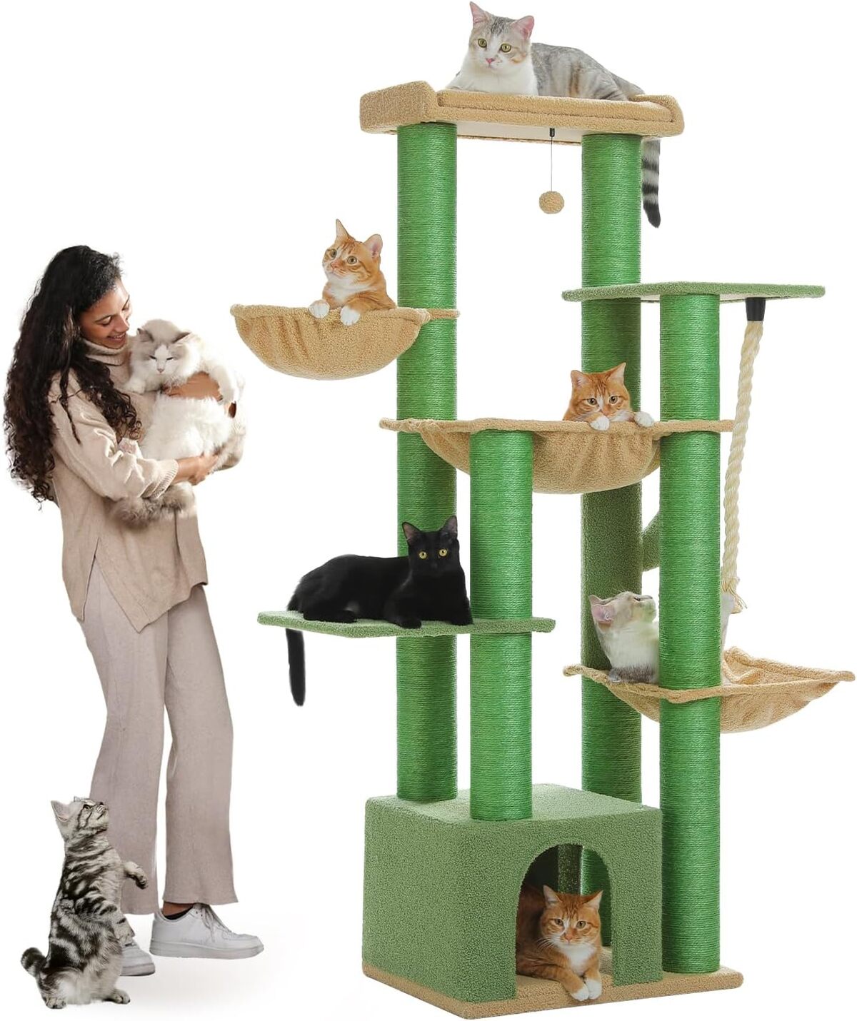 Test de l'arbre à chat PAWZ Road 169 cm : multi-niveaux et confort optimal